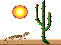 Cactus Sun